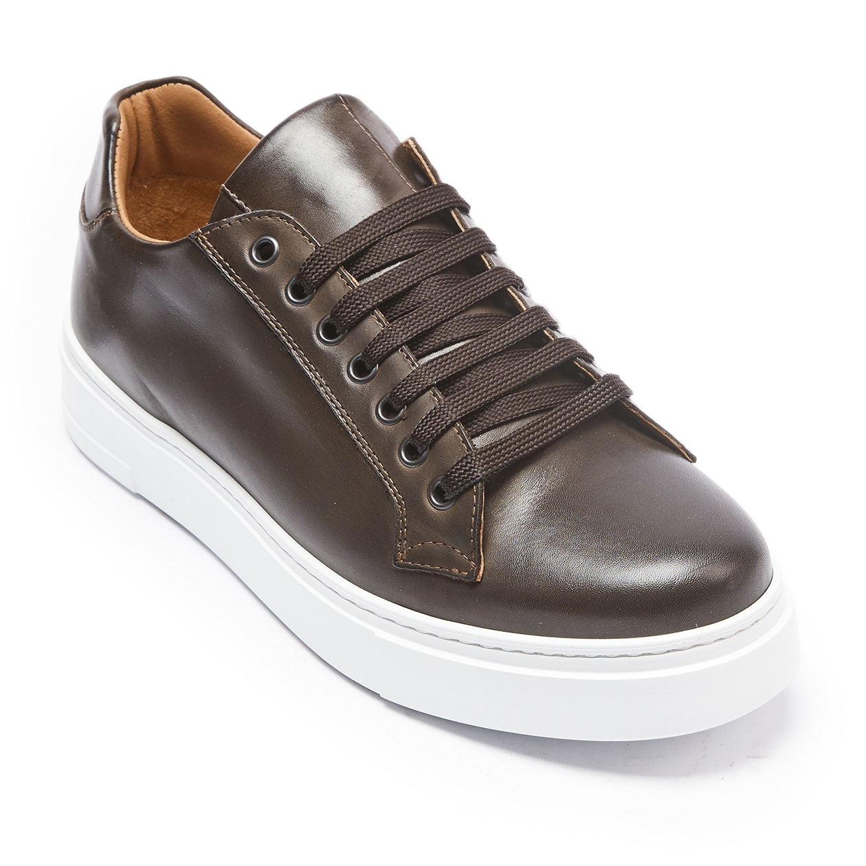 Classic Lace-up Sneaker British Passport Testa di moro