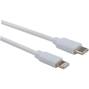 Câble Lightning LISTO USB-C vers Lightning 90cm Blanc Non MFI