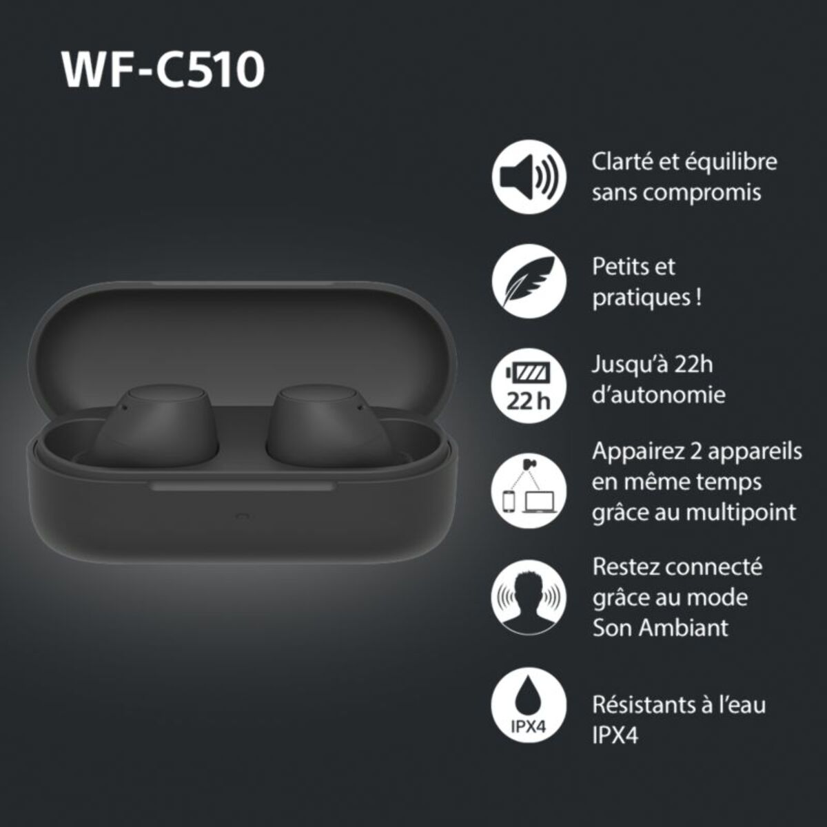 Ecouteurs SONY WF-C510 Noir