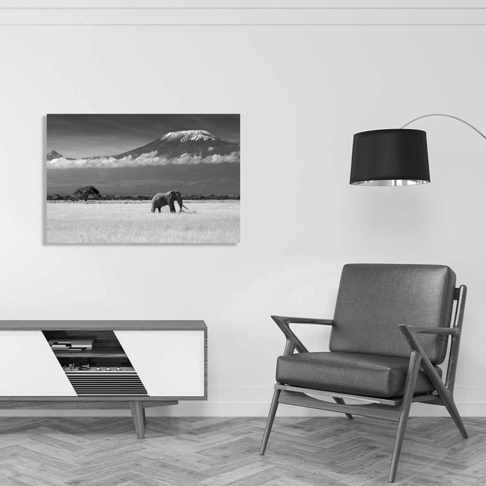 Tableau elephant et kilimanjaro Tableau alu Dibond