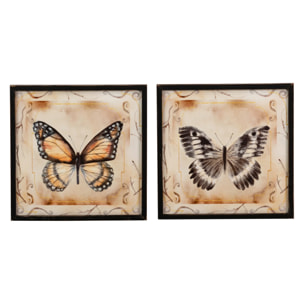 Set 2 Cuadros Mariposas Con Marco Negro 39x2x39 Cm