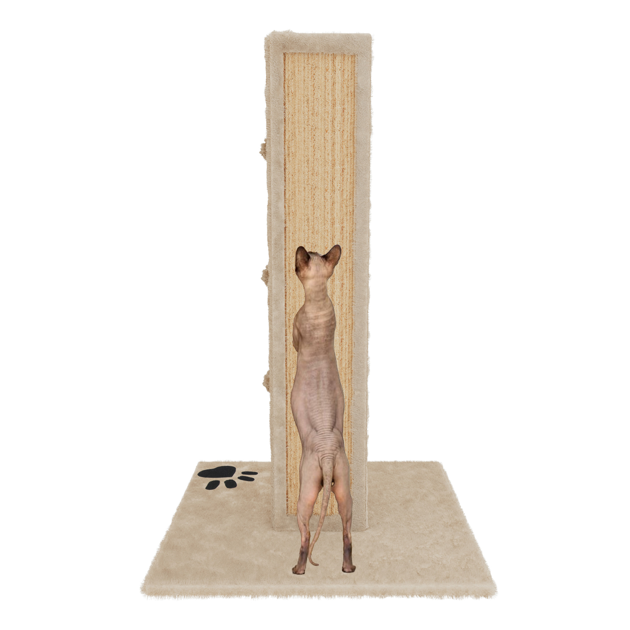 Albero per Gatto con Graffiatoio Cuccia Giocattolo Gatti Parco Giochi Tiragraffi in Sisal Naturale 80 x 45 x 45 cm Colore Beige Dixie