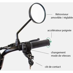 Draisienne électrique WISPEED WIMOB Plus Gris - Homologué