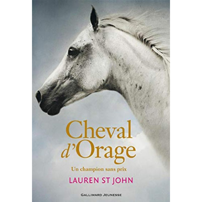 St John, Lauren | Cheval d'Orage: Un champion sans prix (1) | Livre d'occasion