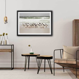 Affiche animaux pingouins Affiche + cadre en bois - Noir