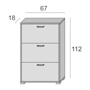 Scarpiera Iris, Mobile multiuso da ingresso con 3 ante a ribalta, Armadietto portascarpe moderno, 100% Made in Italy, Cm 67x18h112, Larice