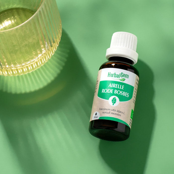 Herbalgem- Bourgeon d'Airelle - Bio - 30 ml