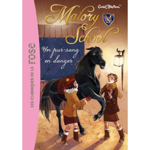 Blyton, Enid | Malory School 03 - Un pur-sang en danger | Livre d'occasion