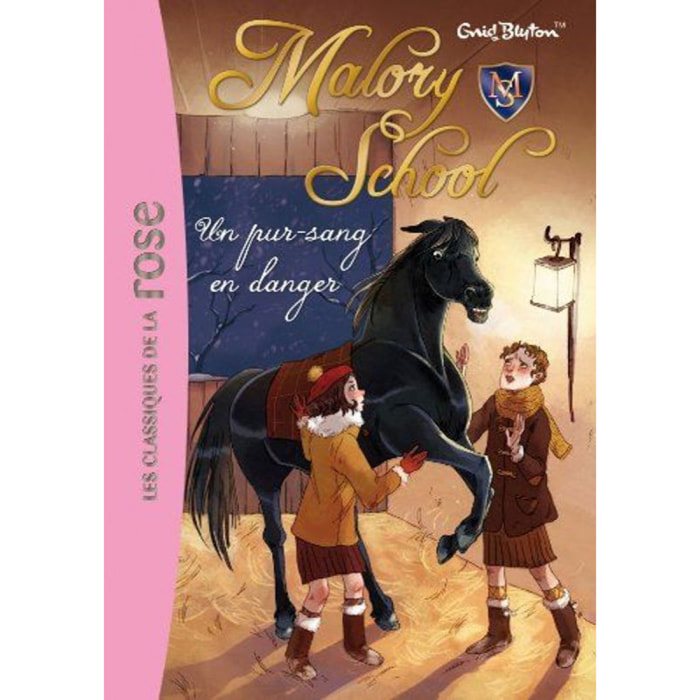 Blyton, Enid | Malory School 03 - Un pur-sang en danger | Livre d'occasion