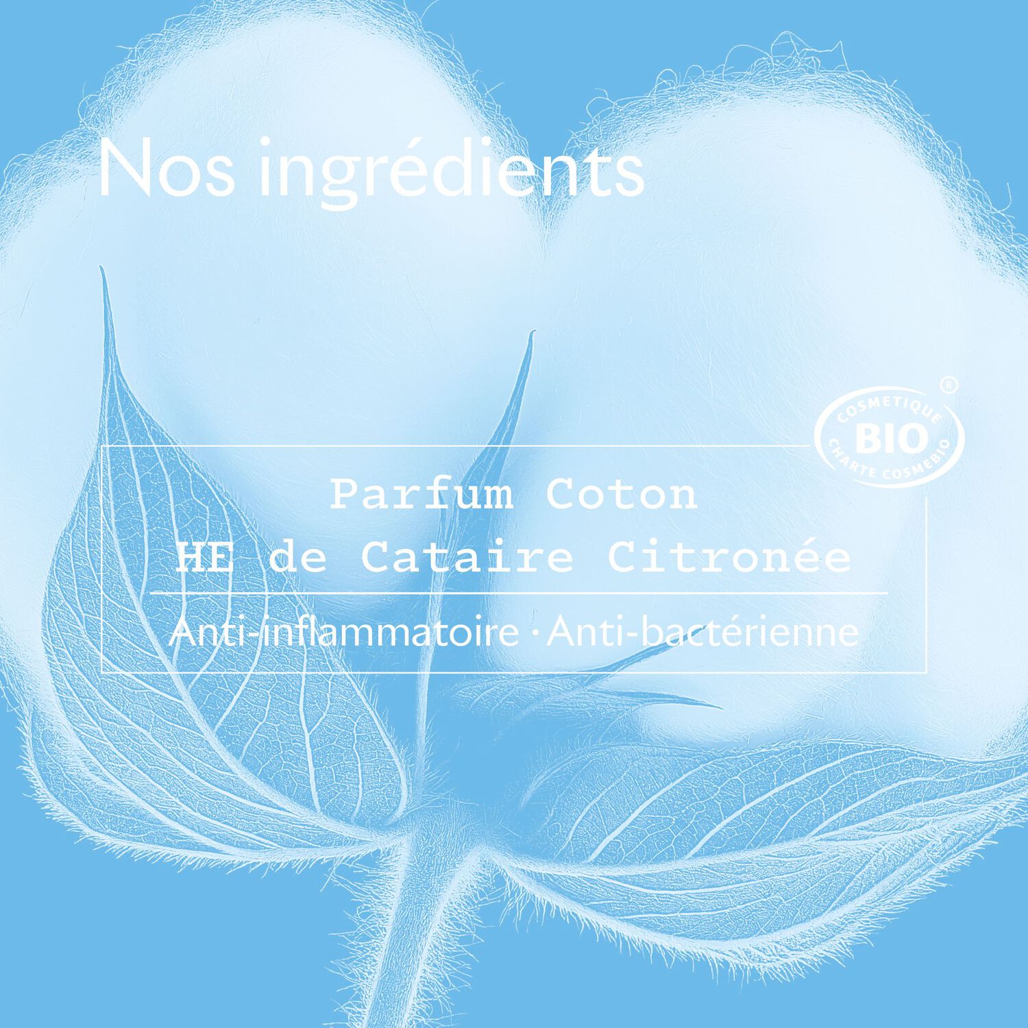 24h Coton - Déo Roll-On  2x50 ml
