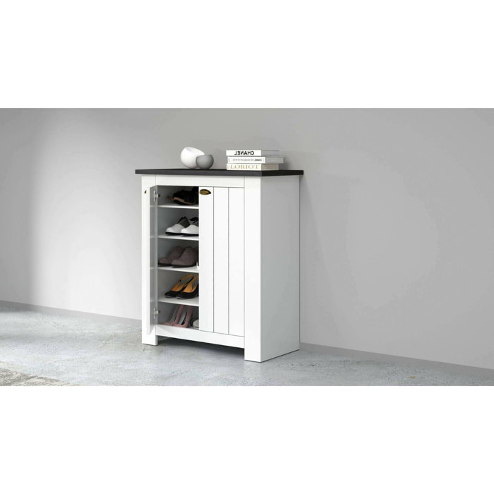 Scarpiera Dcittadin, Porta scarpe salvaspazio a 2 ante, Armadio multifunzione da ingresso, 84x42h100 cm, Bianco e Ardesia