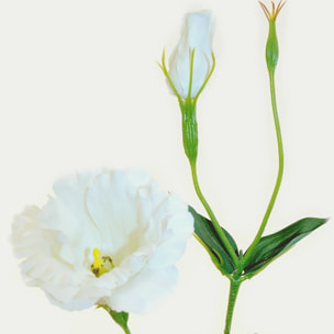 Lisianthus Composto Da 2 Fiori. Altezza 60 Cm - Pezzi 12 - 11,2X60X7,5cm - Colore: Altro - Bianchi Dino - Fiori Artificiali