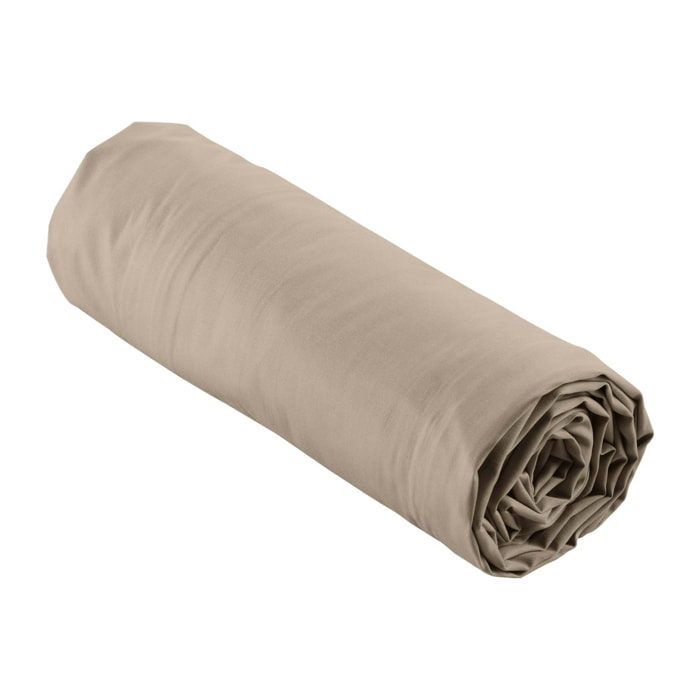 Drap Housse Uni 100% Percale de Coton ORIGINE - Sable