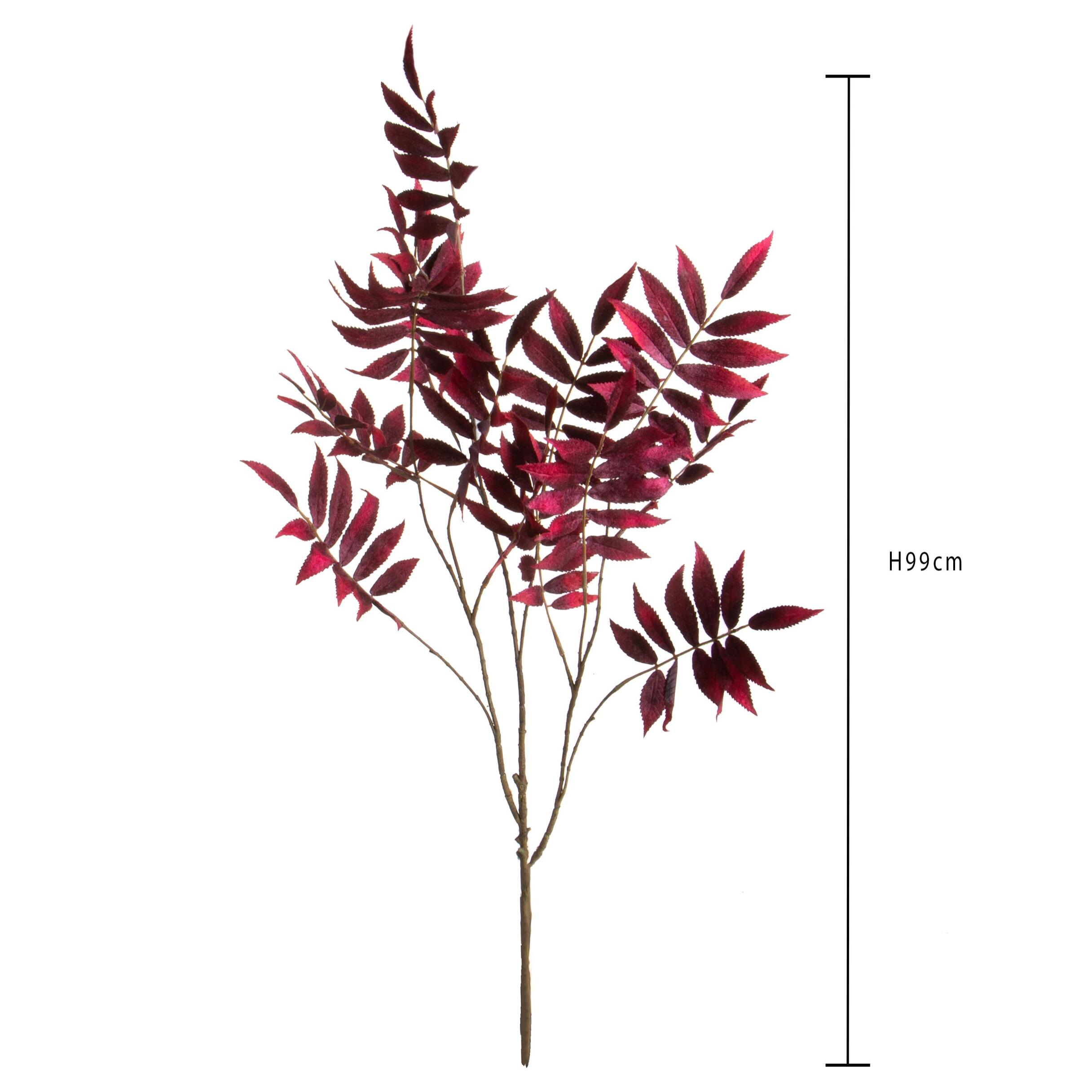 Sorbus ramo - Pezzi 6 - 17xH99x0,16cm - Bianchi Dino SpA