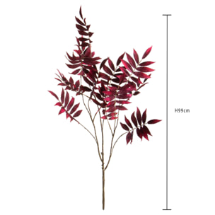 Sorbus ramo - Pezzi 6 - 17xH99x0,16cm - Bianchi Dino SpA