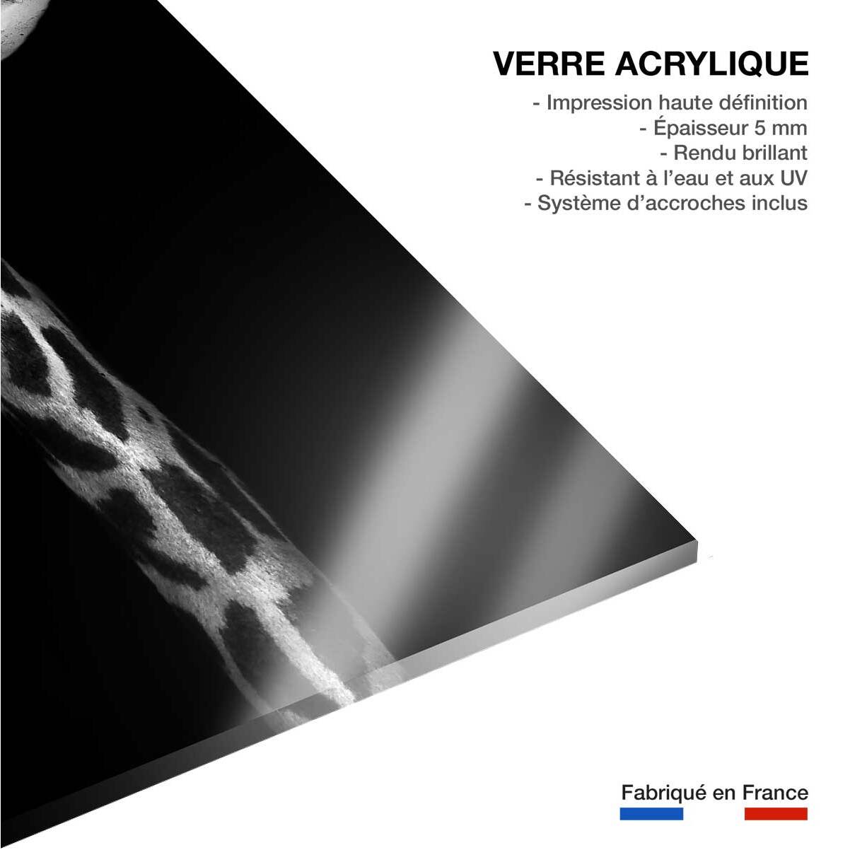Tableau girafe haute en portrait Tableau plexiglas