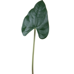 Foglia Anthurium - Pezzi 12 - 23X55X13cm - Colore Verde - Bianchi Dino - Piante Artificiali