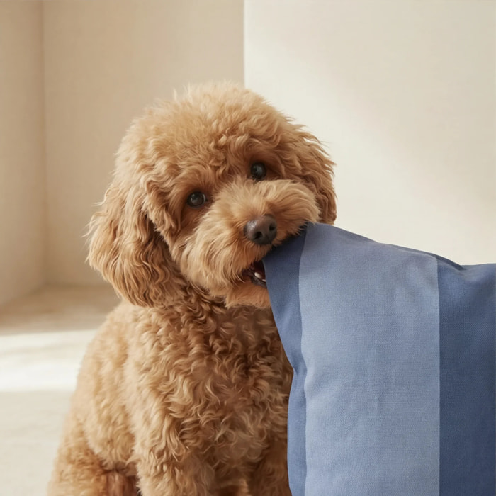 Housse antitaches pour lit pour animal Romani Bleu