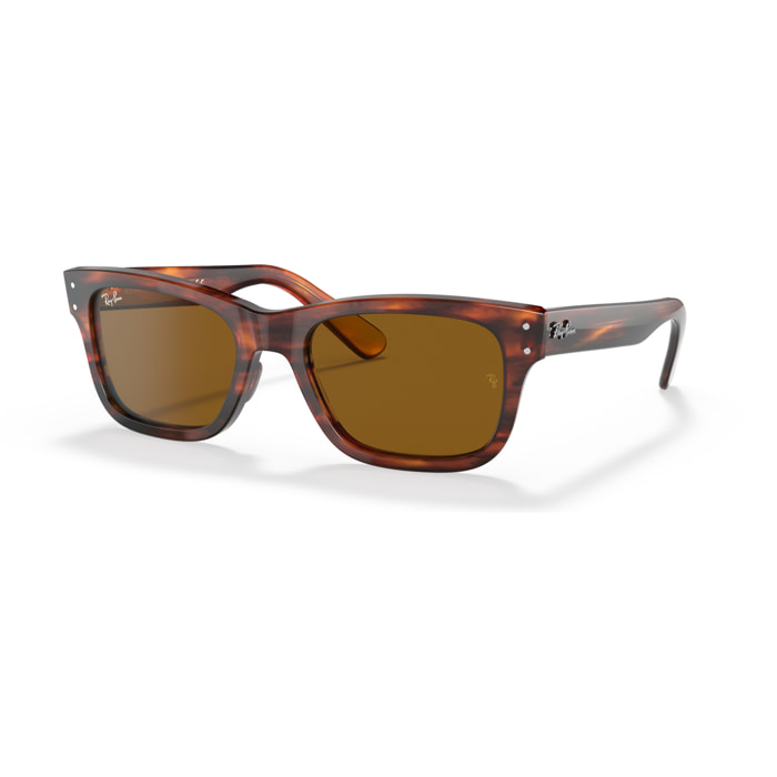 Ray-Ban Gafas de sol para cada estilo de vida RB2283 Mr burbank