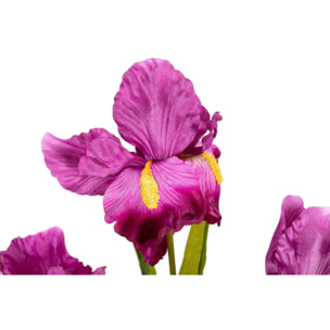 Planta Orquidea Cattleya 60x60x70 Cm