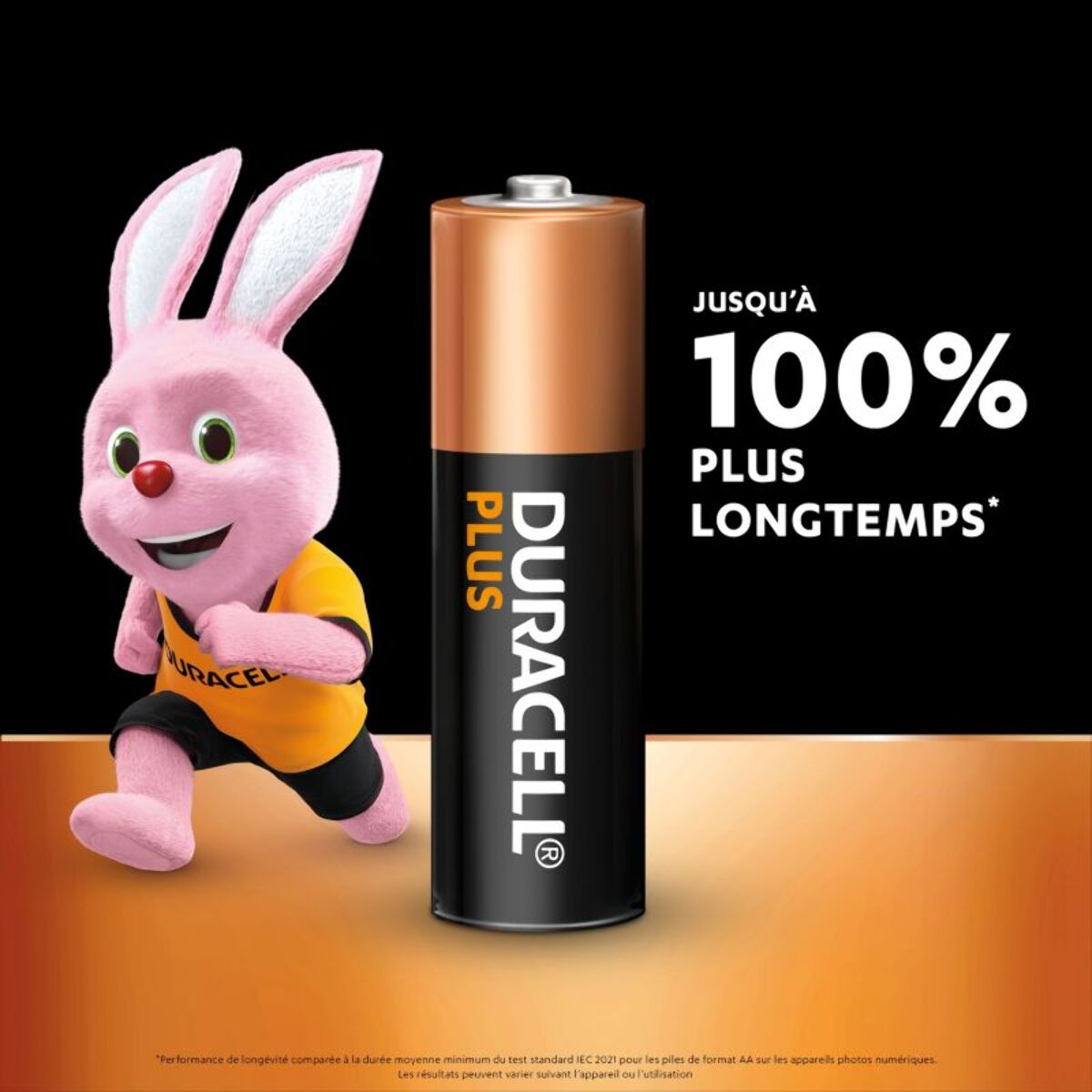 Pile DURACELL PLUS AA X24