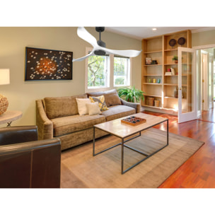 Ventilateur de plafond Réversible  Thermostat Wifi Moteur à courant continu Toits en pente Télécommande Adaptateur 2/3 Lames Hypersilence Mémoire