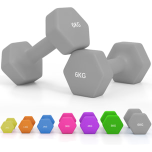 Juego de Mancuernas Hexagonales, 2 x 6 kg, Recubiertas en Plástico, Juego de Pesas de Metal con Mangos Antideslizantes para Entrenamiento en Casa, Gimnasio y Oficina, Gris