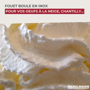 Fouet de cuisine et pâtisserie en inox avec bille 26,5 cm Fackelmann Ovale Limited Edition