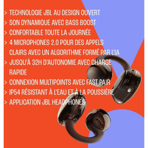 Ecouteurs JBL Soundgear Clips Marron