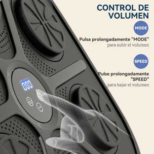 Boxeo Pared Musical con 9 Modos de Velocidad, Guantes y Conexión Bluetooth, Máquina Boxeo Musical Pared con Luces LED, para Adultos y Niños en Casa, Oficina, Gimnasio