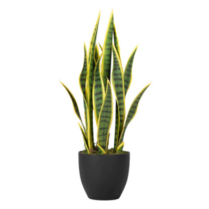 Planta Sansewieria Trifasciata 40x18x70 Cm