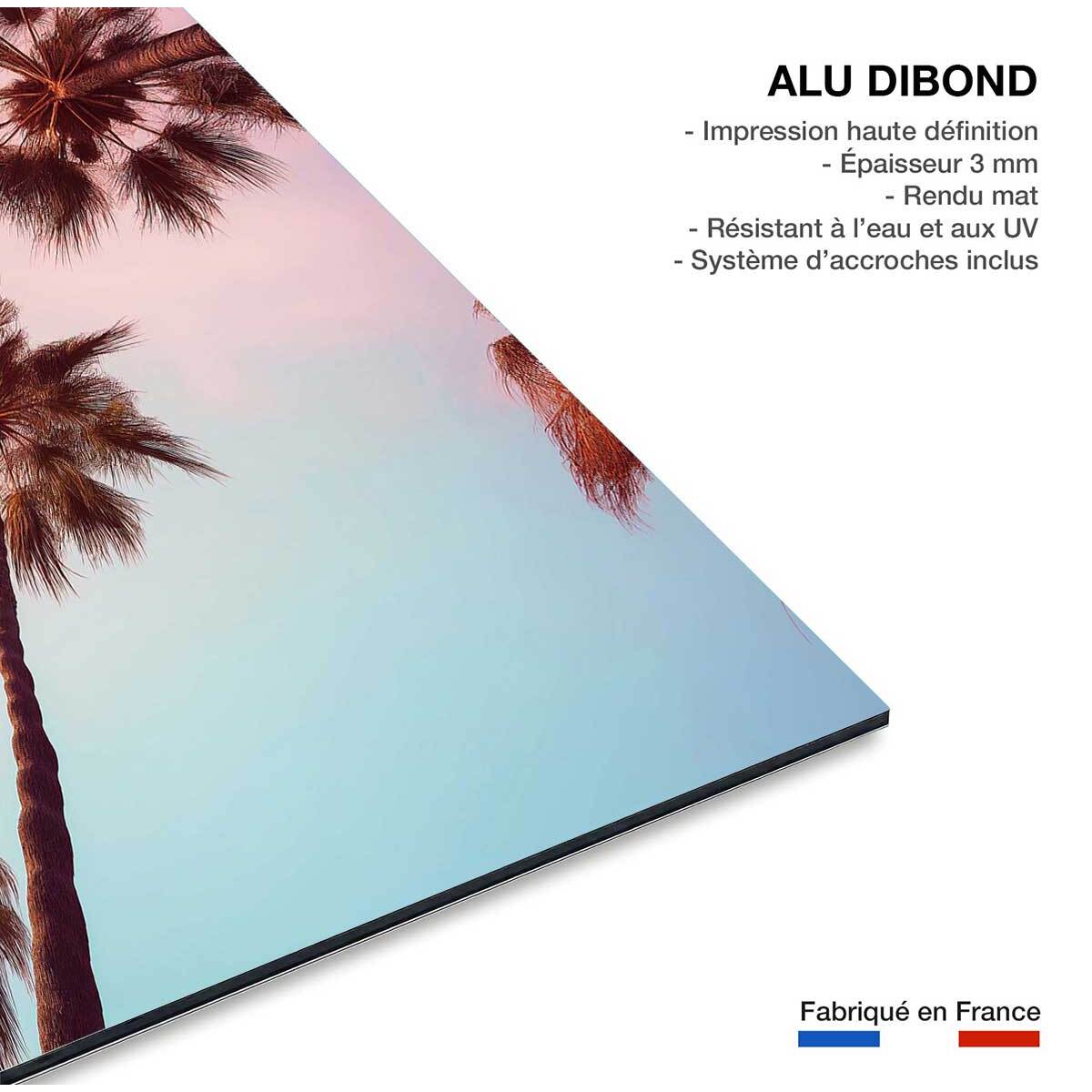 Tableau palmier rose beverly hills sunset  Tableau alu Dibond