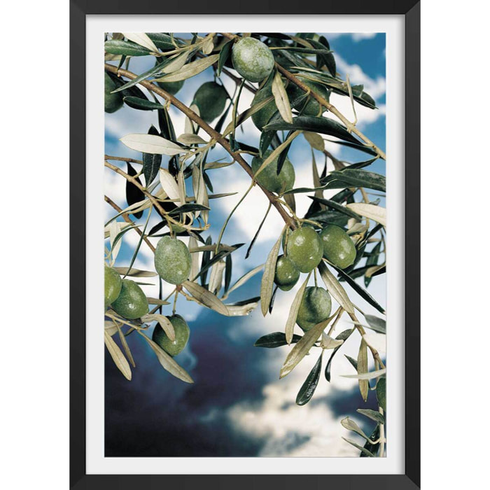 Poster kalamata, olivier grec Affiche + cadre en bois - Noir