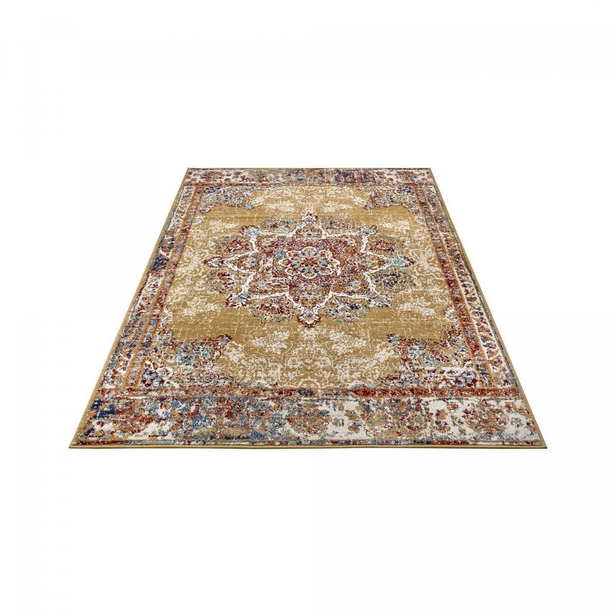 Tapis salon Rectangulaire Oriental