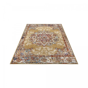 Tapis salon Rectangulaire Oriental