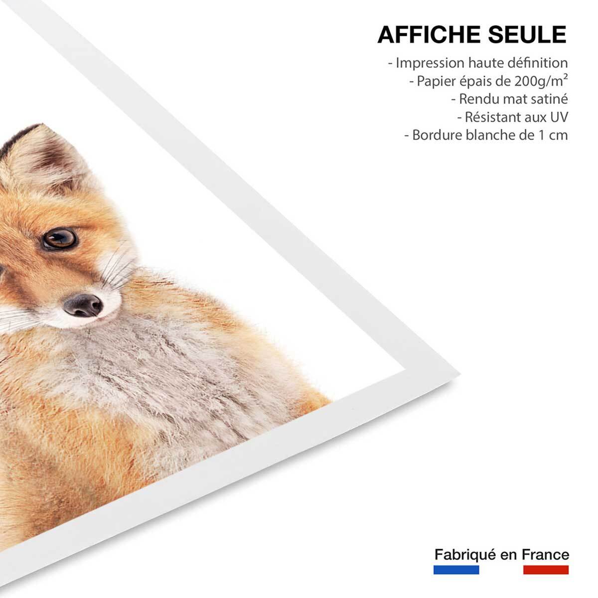 Affiche enfant bébé fox  Affiche seule