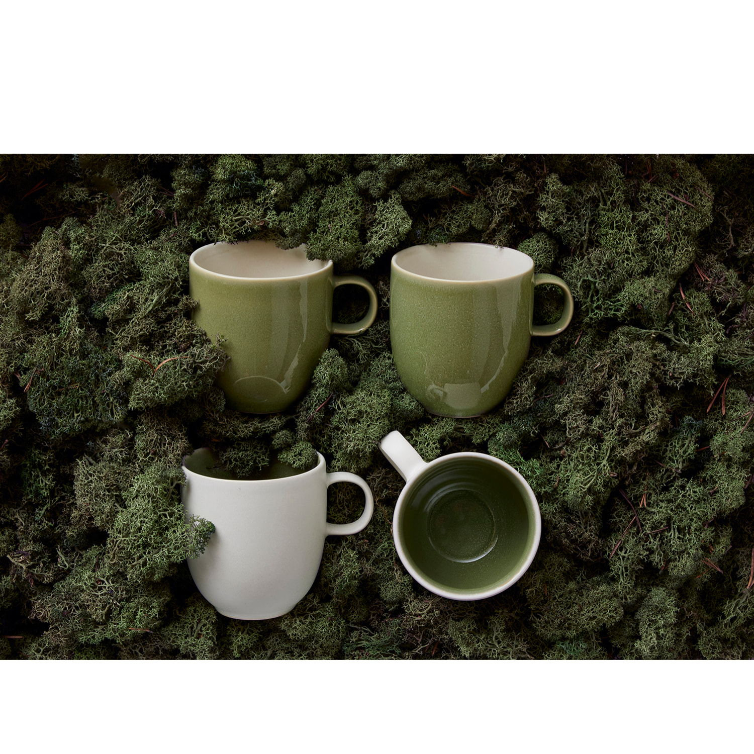 Ensemble de 4 mugs North 33cl