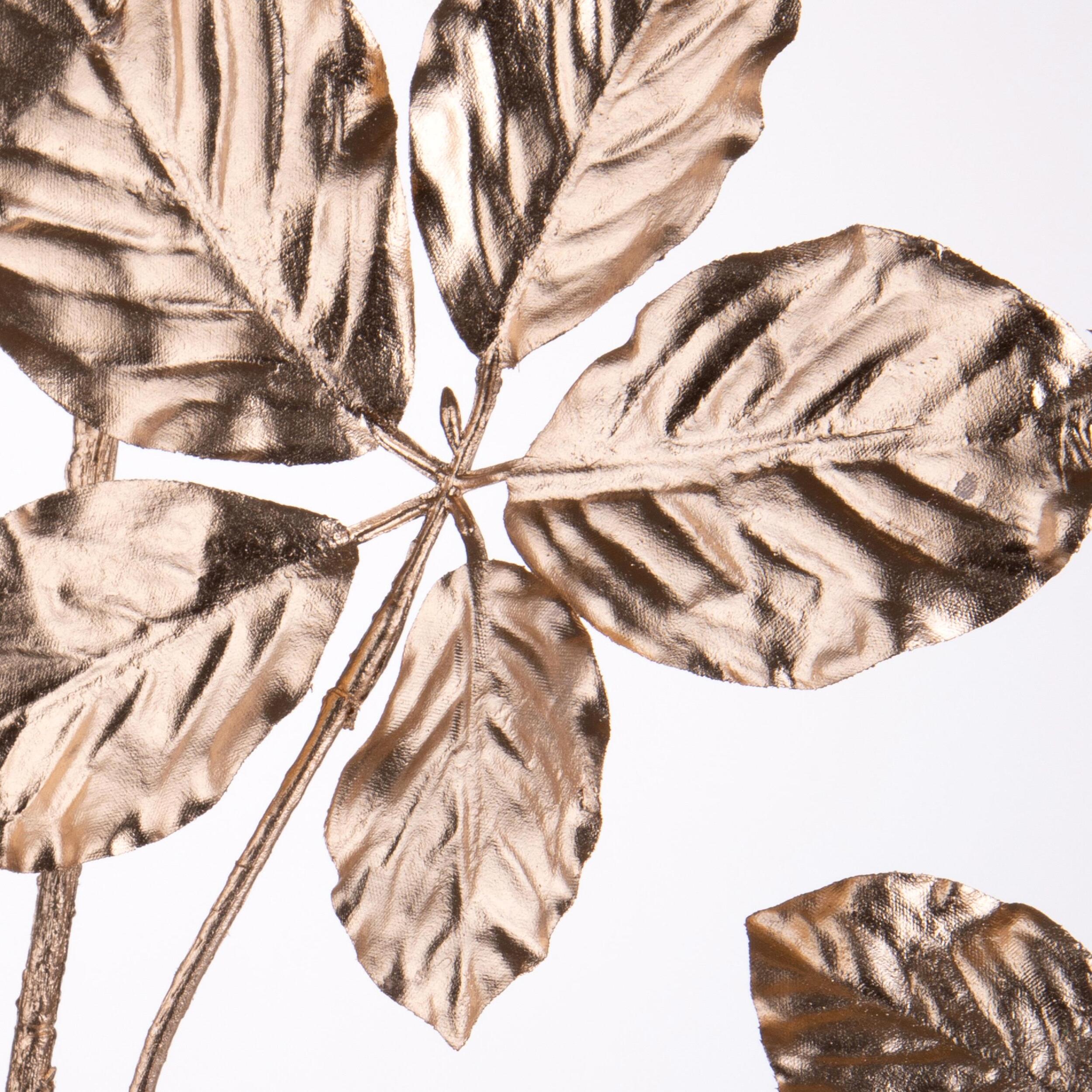 Faggio - Pezzi 6 - 17xH132x18cm - Bianchi Dino SpA