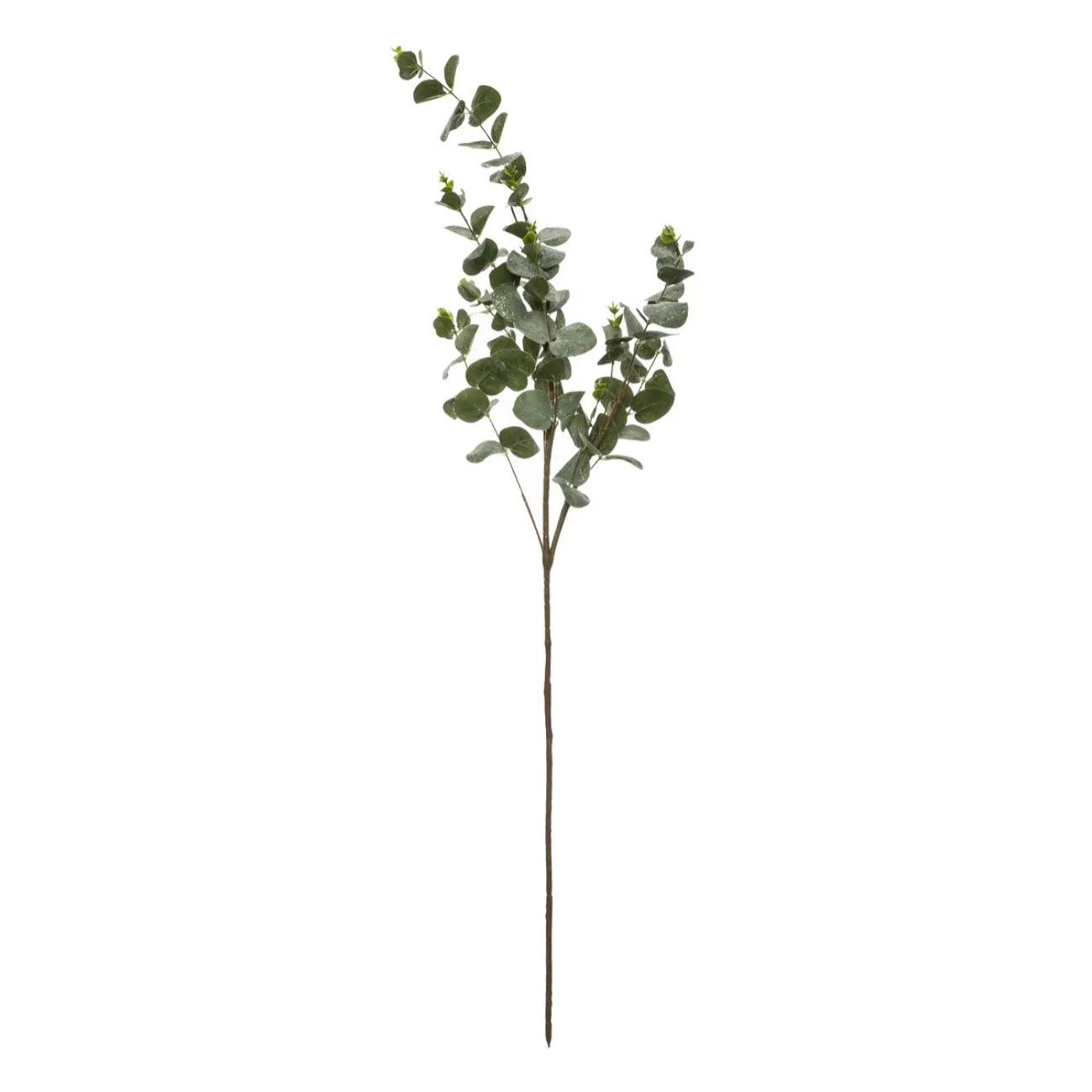 Branche Eucalyptus Paillettes Floquée 98 cm