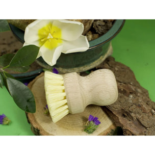 Set de 2 brosses à légumes en bois Fackelmann Nature FSC