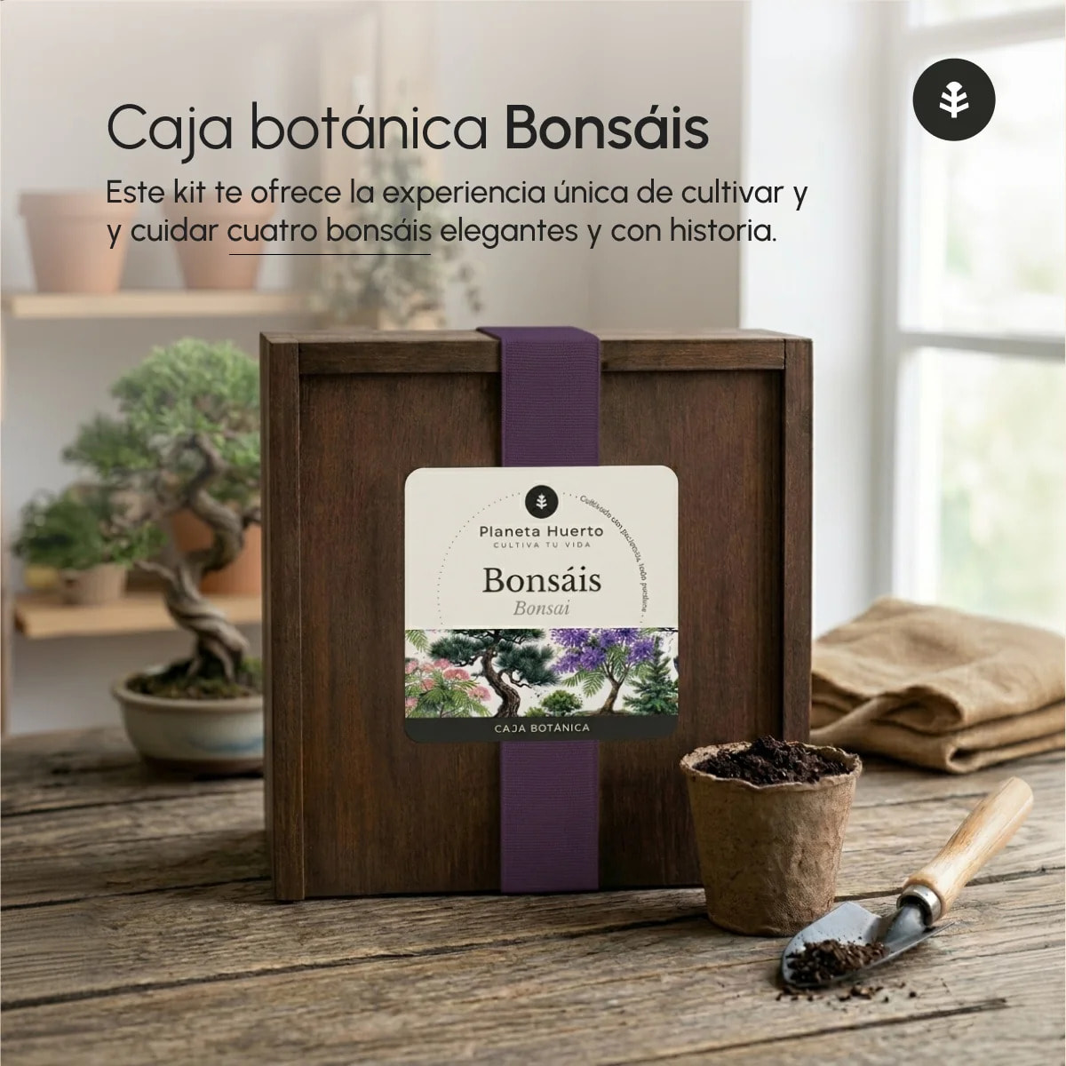 Kit de Cultivo de Bonsáis en Caja de Madera – Regalo Original Planeta Huerto