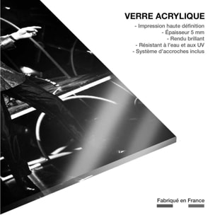 Tableau alain bashung  Tableau plexiglas