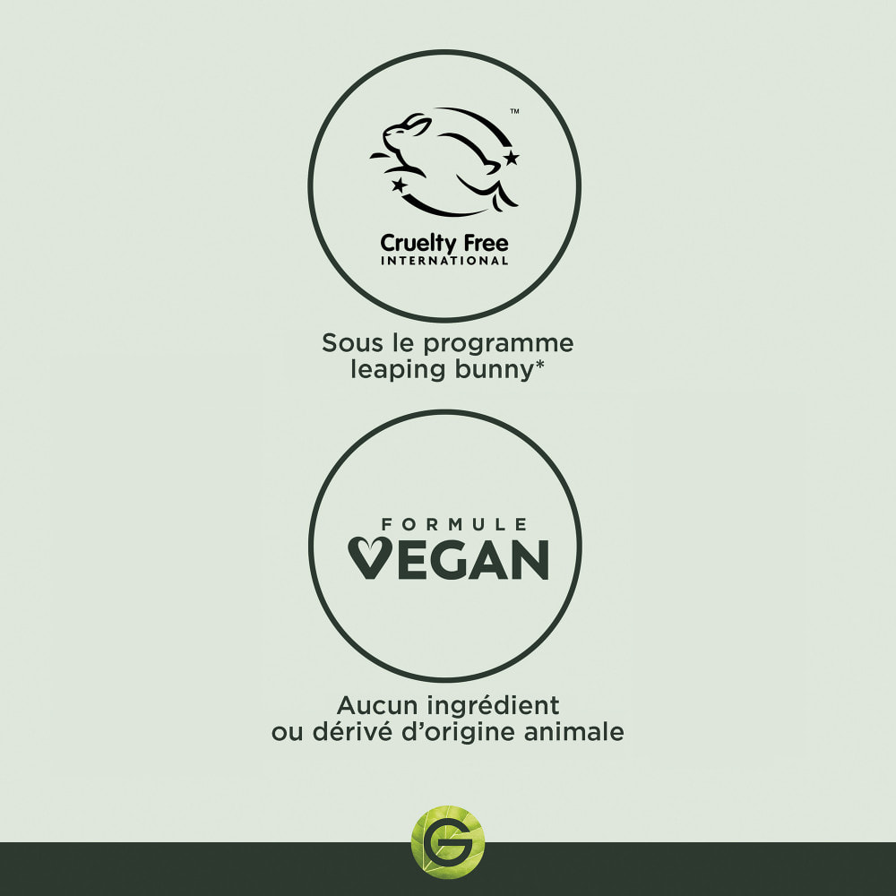 Garnier SkinActive Micellaire Tout en 1 Vitamine C 400mL