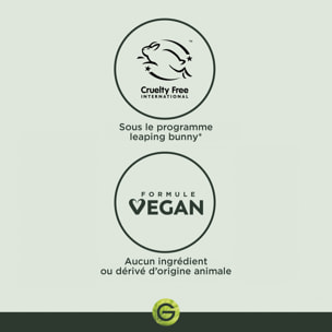 Garnier SkinActive Micellaire Tout en 1 Vitamine C 400mL