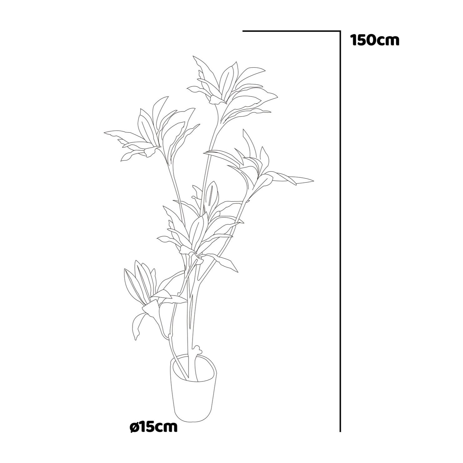 Dracaena - Pianta artificiale in vaso H150 cm