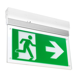 Ledsc4 LedsC4 Plafón LED Moderno para Techo, 14 Lúmenes, 4000K, Acabado Blanco Transparente, Material Resistente Policarbonato PMMA, Iluminación Equilibrada para Hogar