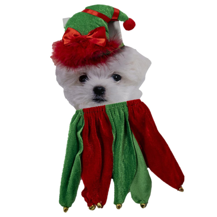 Gorro para mascotas con cuerpo navideño.