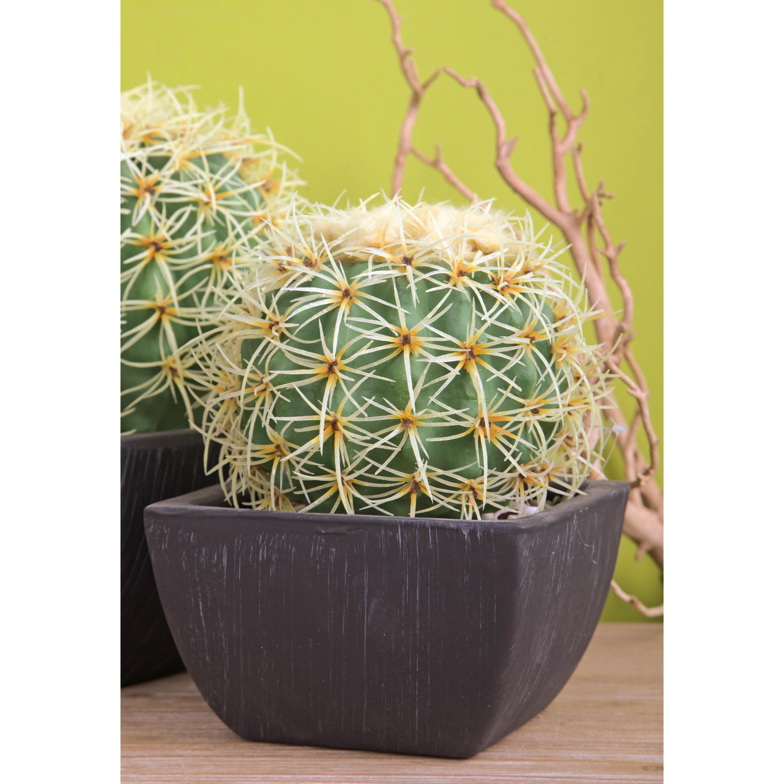 Cactus Con Vaso. Diametro 15 Cm - Pezzi 1 - 15X18,5X15cm - Colore: Bianco - Bianchi Dino - Piante Artificiali