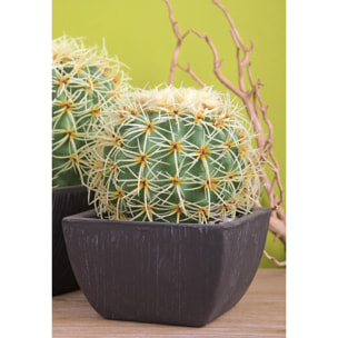 Cactus Con Vaso. Diametro 15 Cm - Pezzi 1 - 15X18,5X15cm - Colore: Bianco - Bianchi Dino - Piante Artificiali