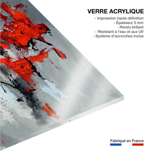Tableau abstrait moderne coquelicots Tableau plexiglas